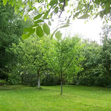 Apartamento Pokoj Pod Swierkami *
